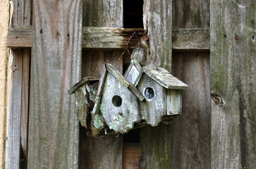 Wooden Birdhouse in North Carolina