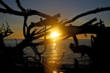 Gorgeous Key Waden Sunset