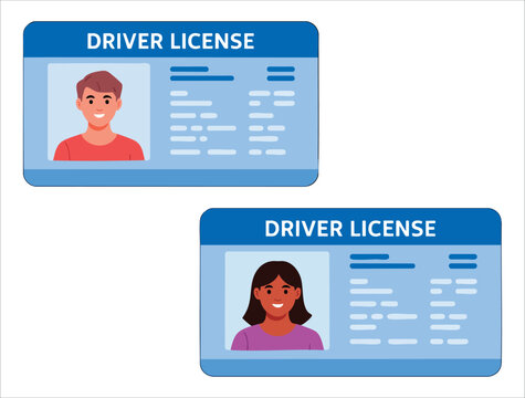 Drivers id card vector set showing woman and man driving licences with photo flat plastic identity document icon ideal for personal badges and automobile themes