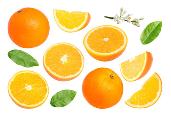 Fresh oranges, green leaves and blossoms isolated on white, set