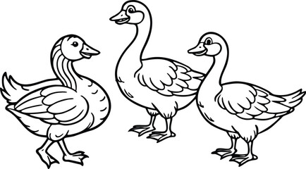 Fototapeta premium Vector illustration of a white domestic goose and duck birds, silhouettes isolated on a white background