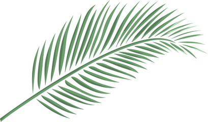 Obraz premium Watercolor Palm Trees with Lush Green Leaves on a Pure White Background, Artistic and Vibrant Tropical Scene