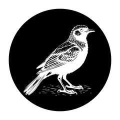 Elegant monochromatic bird illustration set against a stark black circle creates eye catching contrast and appeal