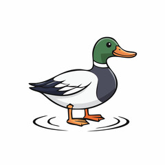 Obraz premium Detailed Cartoon Illustration of a Mallard Duck Standing on Water Isolated on White Background