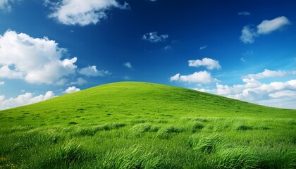 Fototapeta premium a green grassy hill under a clear blue sky with fluffy white clouds