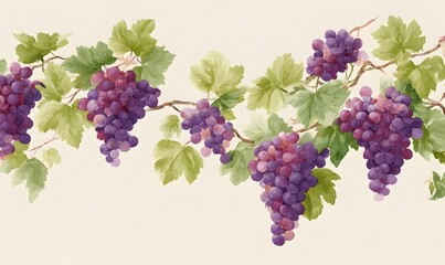 This beautifully illustrated illustration depicts grapes growing on vines against an elegant cream background