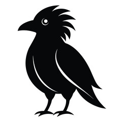 Obraz premium Solid color Umbrellabird animal vector design