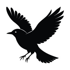 Obraz premium Solid color Veery flying animal vector design