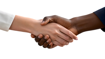 3d illustration of two gear wheels at white background