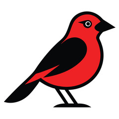 Solid color Vermilion Flycatcher animal vector design
