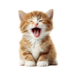 Obraz premium Cute ginger kitten with open mouth