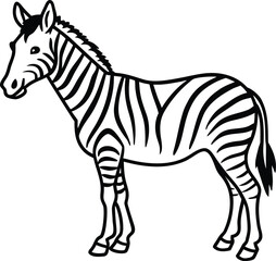 Illustration of a zebra isolated on white background, standing in side view pose
