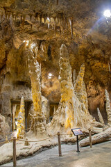 Obraz premium the view of Cavern of Rainforest Wild Asia, the 5th zoo in Singapore, Asia’s first wildlife adventure park. reflect the aesthetic and natural grandeur of Batu Caves Malaysia. 
