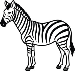 Illustration of a zebra isolated on white background, standing in profile view