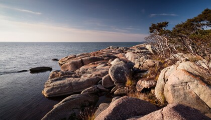 rocky shoreline with sparse vegetation