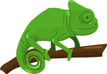 Green Camaleon Design
