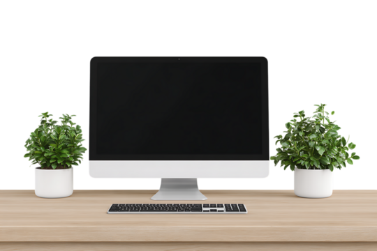 Modern workspace with desktop computer and plants