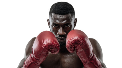 Focused boxer in red gloves preparing for a fight, capturing determination and strength, white isolate background.