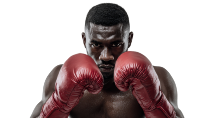 Focused boxer in red gloves preparing for a fight, capturing determination and strength, white isolate background.