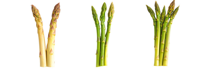 set of asparagus isolated on white
