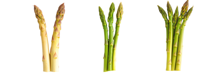 set of asparagus isolated on white