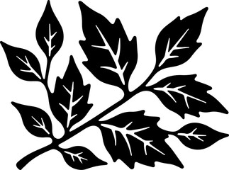 Vector silhouette of a natural branch with delicate leaves on a clean white background