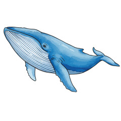 Majestic Blue Whale Marine Animal Watercolor Illustration Isolated on White Background