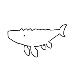 Hand-drawn illustration of a Mosasaurus