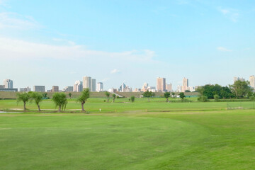 広い芝生と遠くのビル