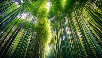 of a mesmerizing bamboo forest where towering green stalks rise toward the sky their dense canopy filtering soft dappled sunlight onto the forest floor