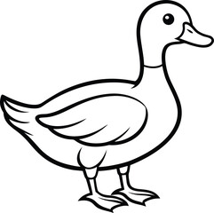 Charming duck illustration isolated on white background, showcasing its elegant form