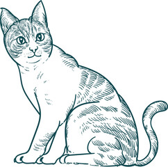 Vintage hand drawn sketch of sit smile cat