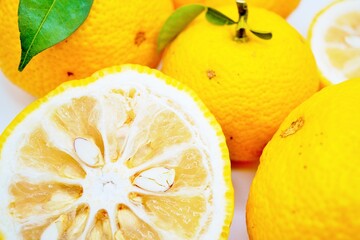 沢山並んだ黄色いユズの実とその断面のアップ