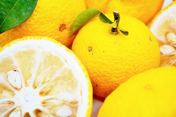 ぎっしりと並んだ黄色いゆずの果実とその断面