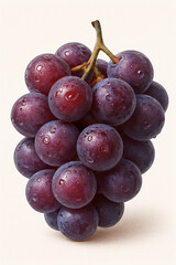grapes on white background