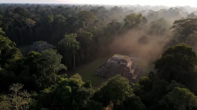 The mayan ruin of calakmul in mexico, an ancient archaeological site in the jungle, a landmark of culture, history, and tourism, a travel destination in america