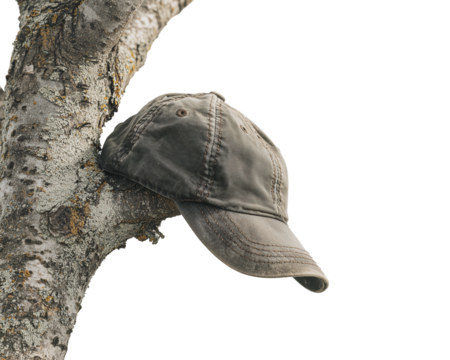 Cap resting on a tree branch