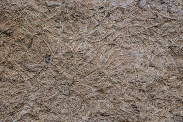 Detailed close-up of natural rock surface featuring irregular lines and fibrous organic texture. Ideal as a seamless background or overlay for design and 3D materials.
