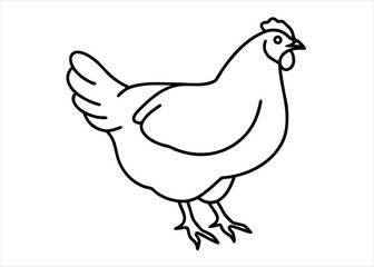 Minimalist single line art drawing of a hen or chicken rendered in a clean artistic style with a focus on fluid strokes and form