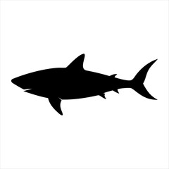 Fototapeta premium Shark Silhouette in Motion Underwater Scene