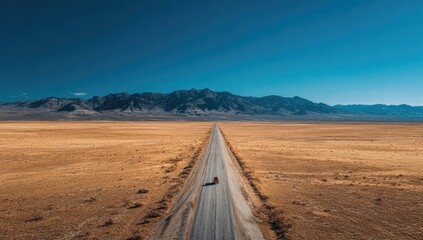 Obraz premium A vast, arid landscape stretches out beneath a vibrant blue sky. A single road, seemingly endless, bisects the dry, golden terrain. A small vehicle travels down the road toward distant mountains