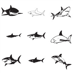 Fototapeta premium set of sharks vector illustration