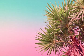 Vibrant palm leaves against a pastel sky gradient