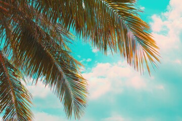 Fototapeta premium Palm fronds against a vibrant sky