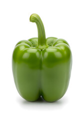 A single fresh green bell pepper with a stem, standing upright and isolated on a plain white background.