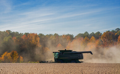Fototapeta premium Combine harvester in a wheat field. Harvesting on rural farm. Combine harvester machinery. Agricultural Combine harvester at work. Rural landscape with a combine harvester. Rural farming.