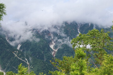 白馬 小遠見山の風景