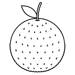 vector illustration of an apple