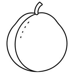vector illustration of an apple