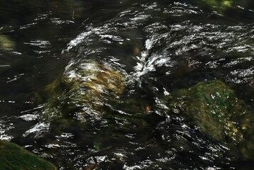 The power and beauty of water movement. Natural beauty background material.